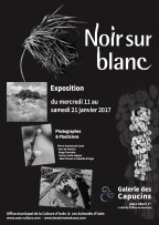 affiche-nsb-2017
